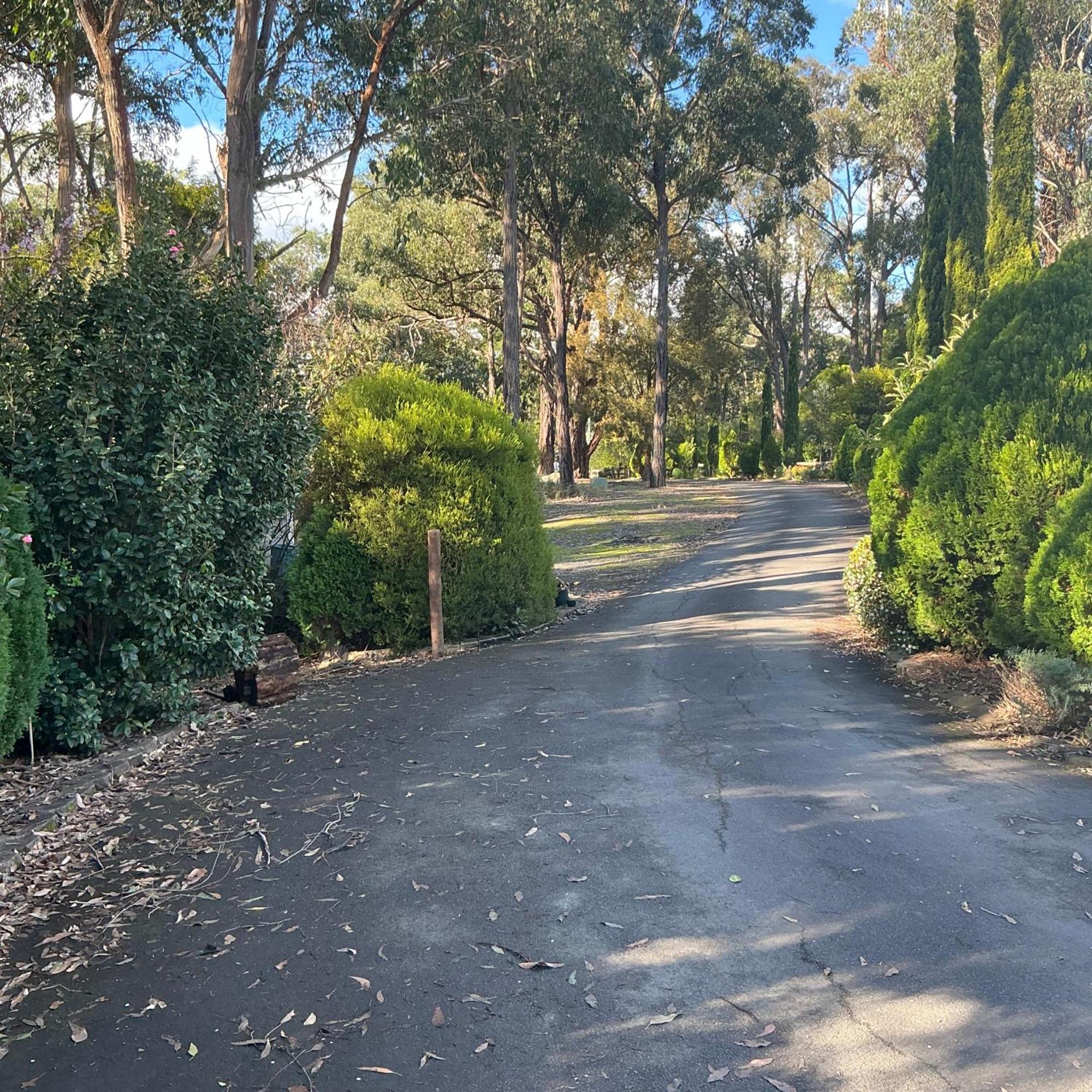 Sanctuary House Resort Motel Healesville Eksteriør billede